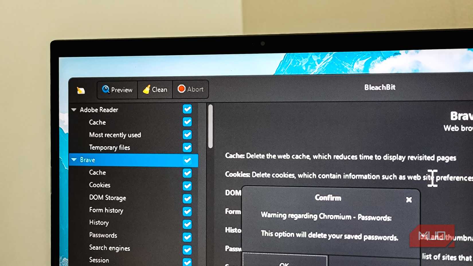 Bleachbit App running on a Windows 11 PC