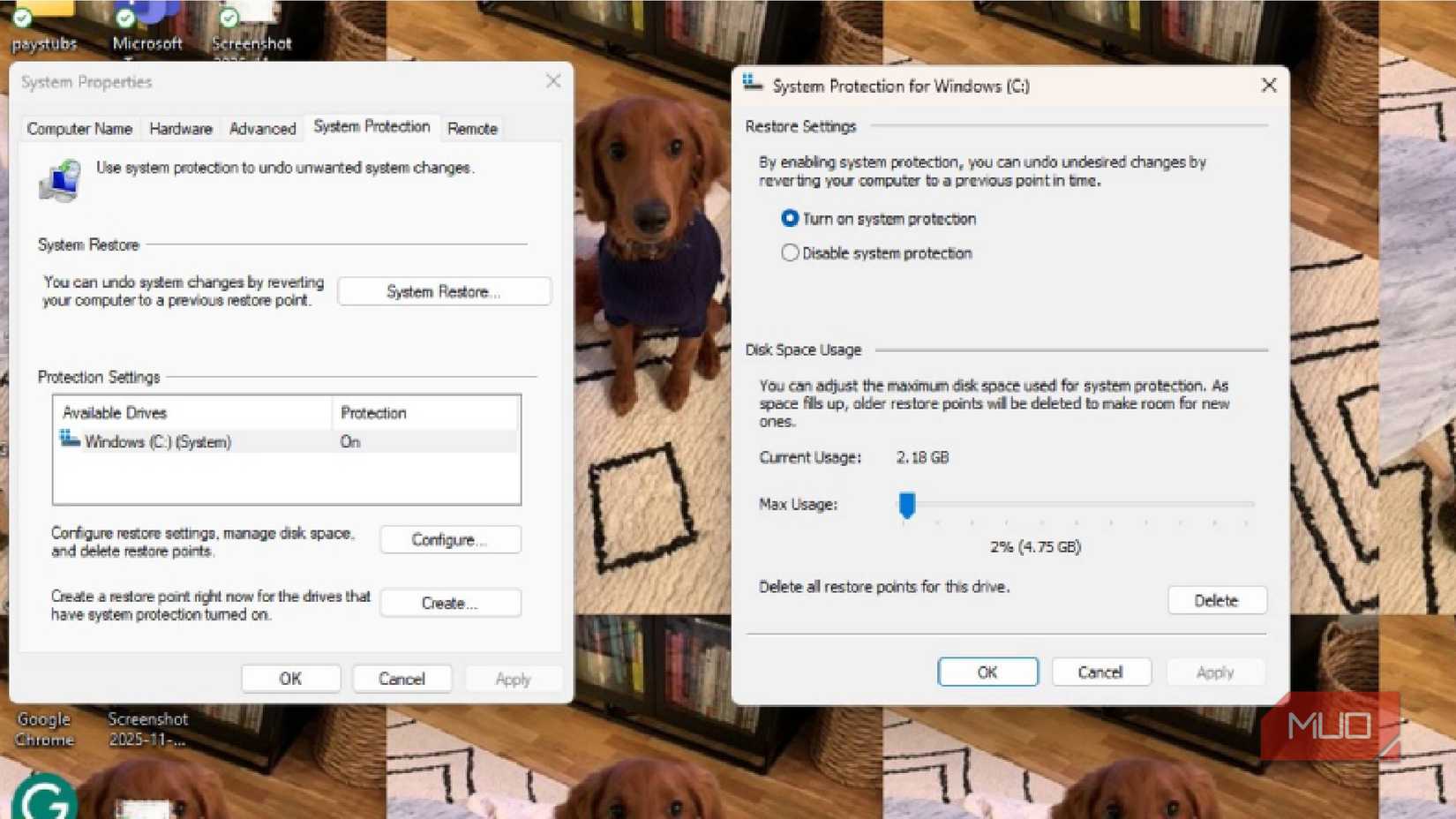 System Proteciton feature on Windows 11