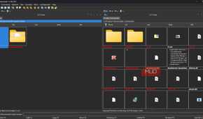 Color coded thumbnail view on Double Commander