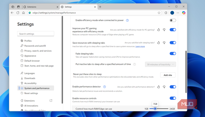 Edge performance settings