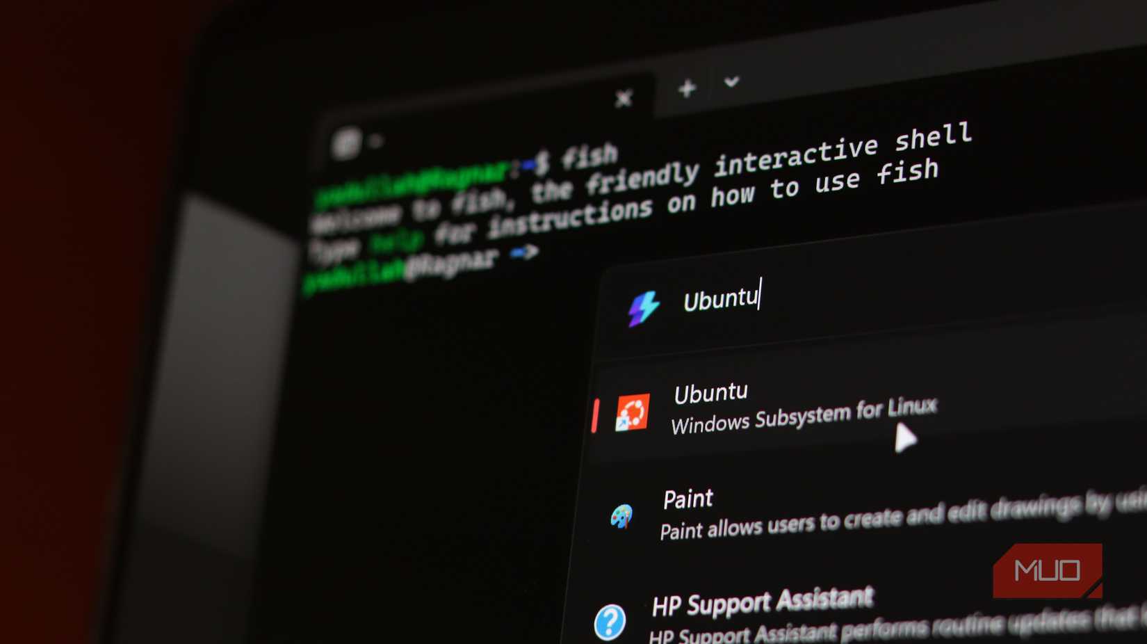 Fish shell with WSL Ubuntu.