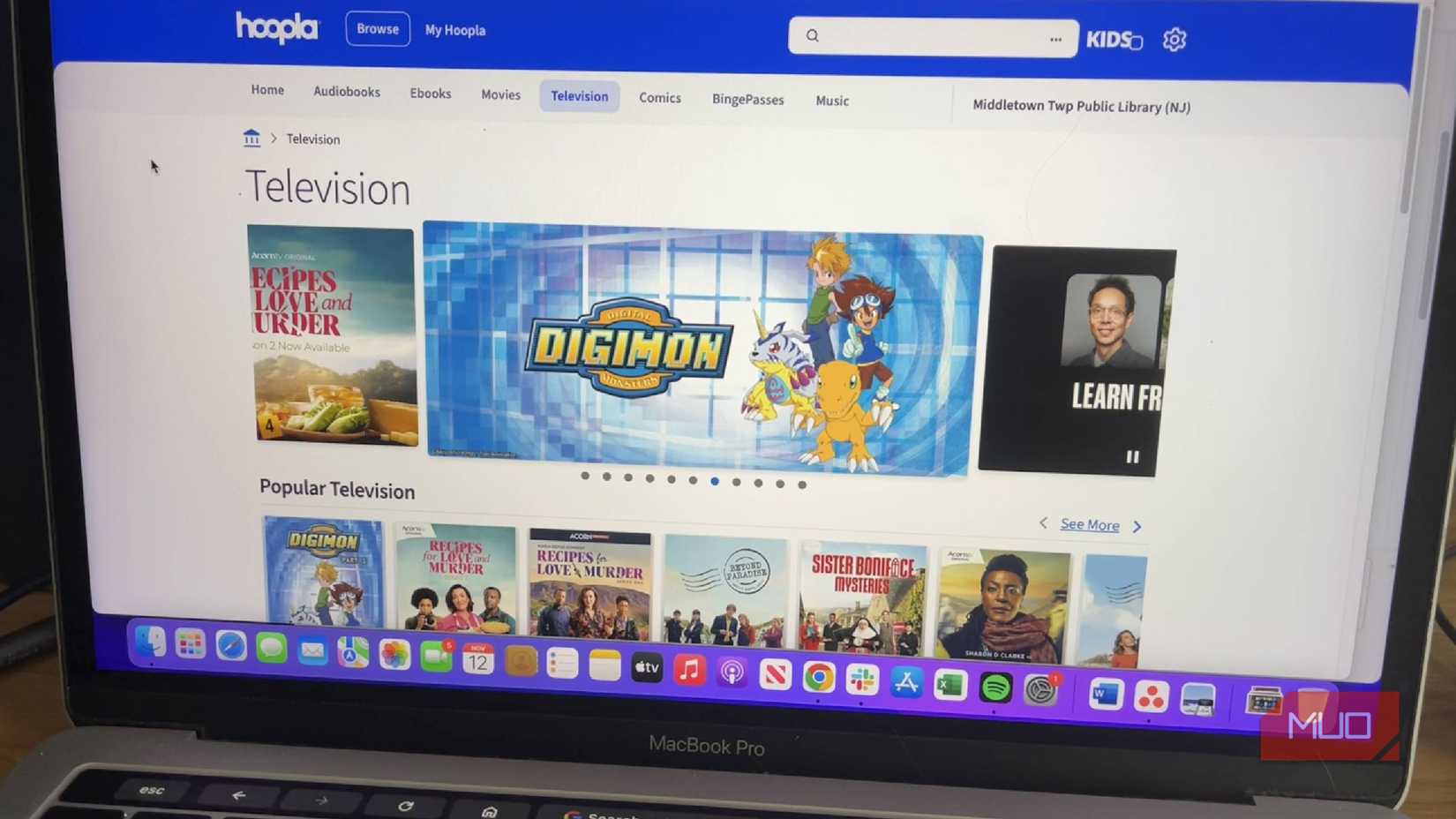Hoopla's home page and interface