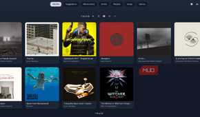 Music collection in Jellyfin