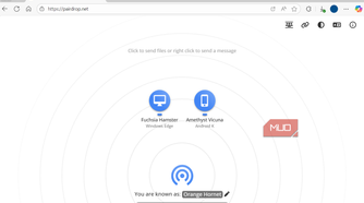 PairDrop showing nearby devices on PC