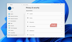 Privacy settings in Windows 11