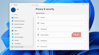 Privacy settings in Windows 11