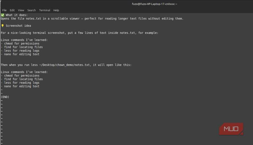 read scrollable text file in the terminal with the less command