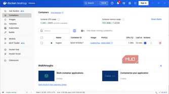 Running Docker container for Huginn