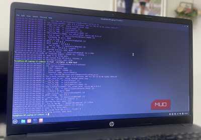 Sharing a live Linux terminal session with ttyd