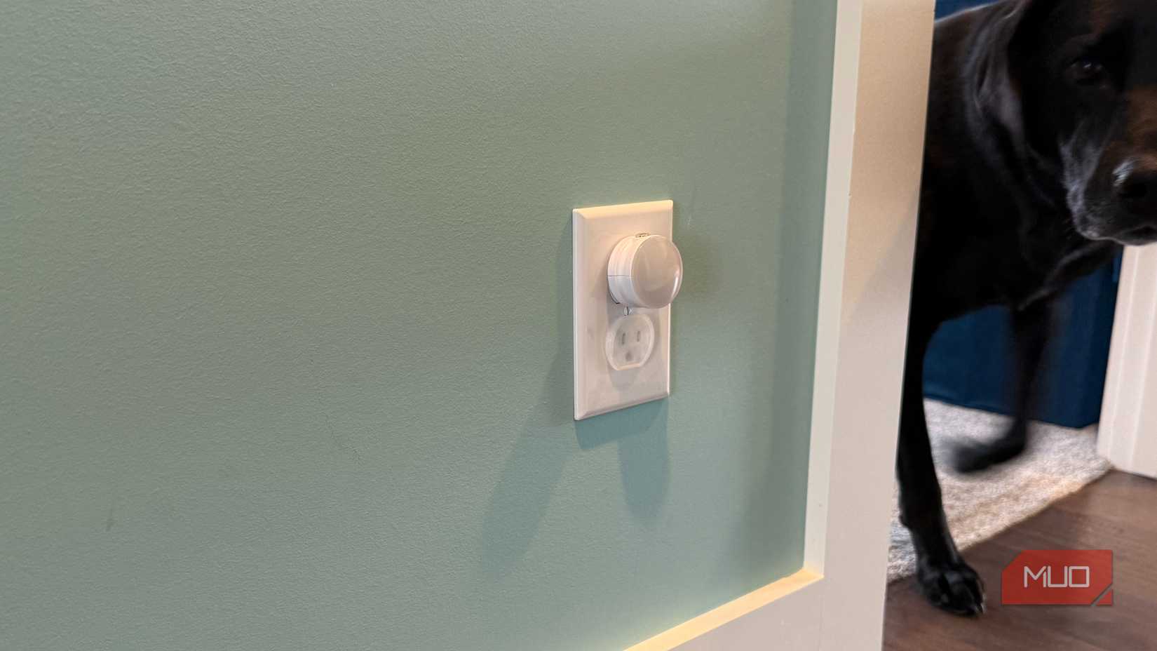 standard nightlight plugged into outlet