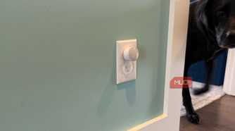 standard nightlight plugged into outlet