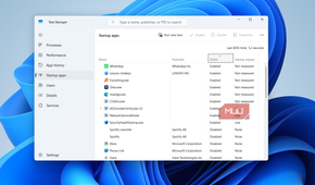 Task manager startup apps tab showing bios time