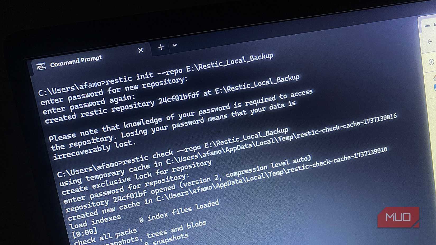 Using Restic on Windows 11