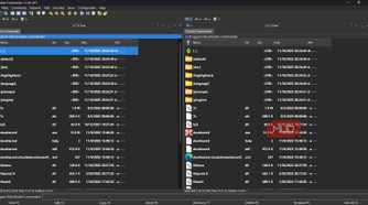 Viewing files on the dual panes of Double Commander
