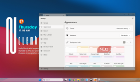 Windows 11 dekstop with Files app themes tab