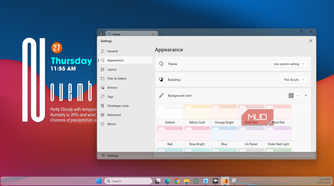 Windows 11 dekstop with Files app themes tab