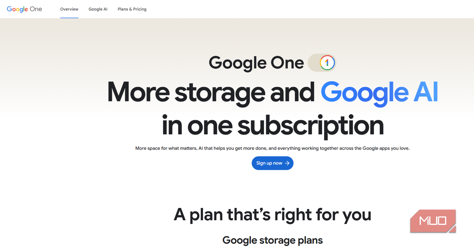 02 Google One Website