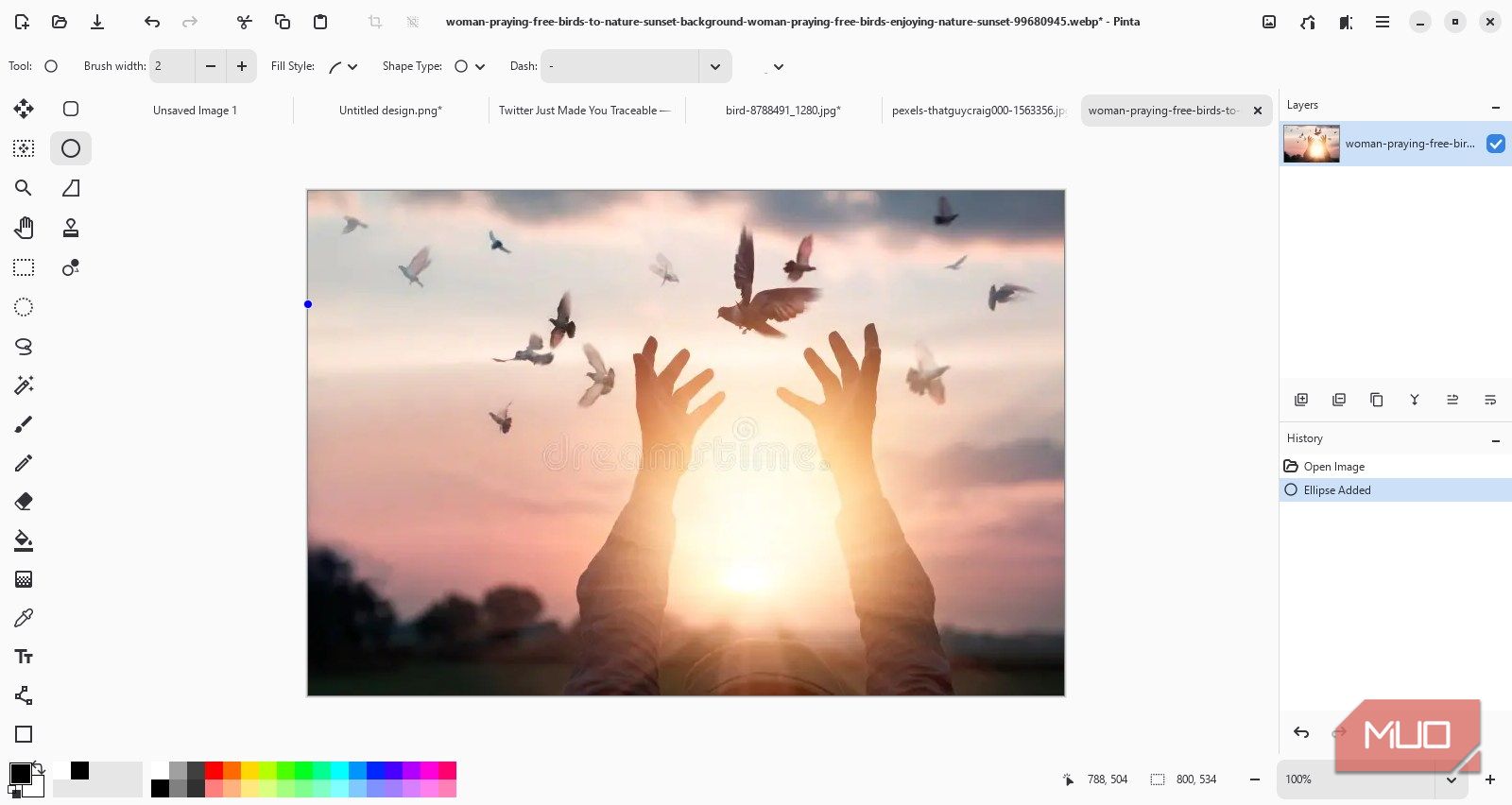 I replaced Paint.NET with this free open-source tool and I love it