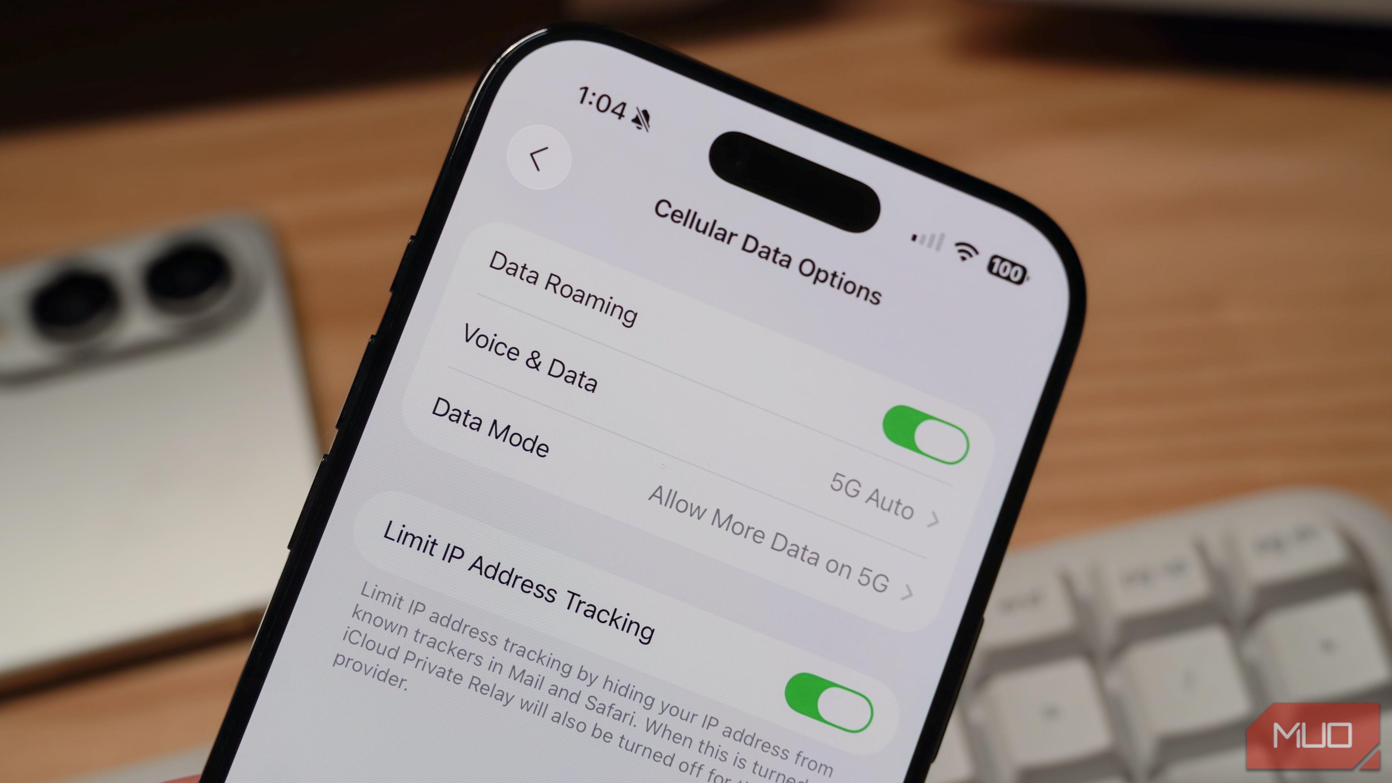 Data roaming settings for international cellular connections.