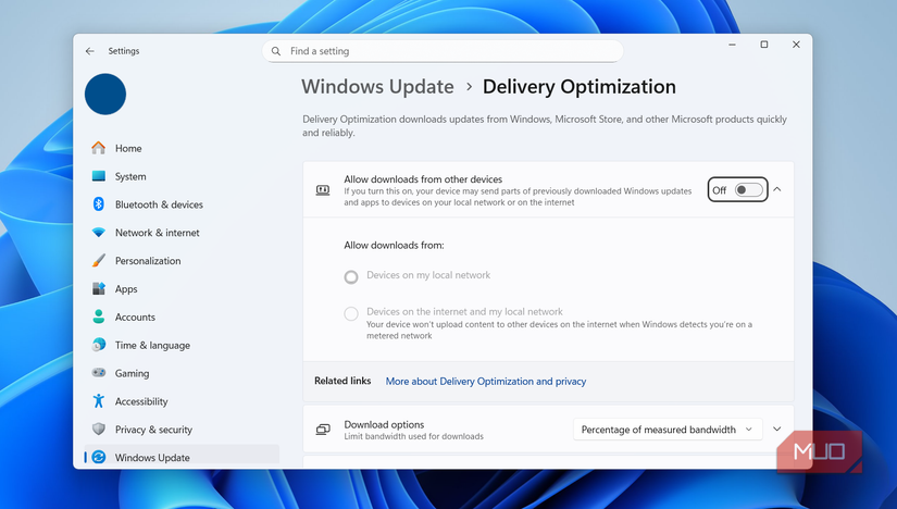 Delivery Optimization setting on Windows