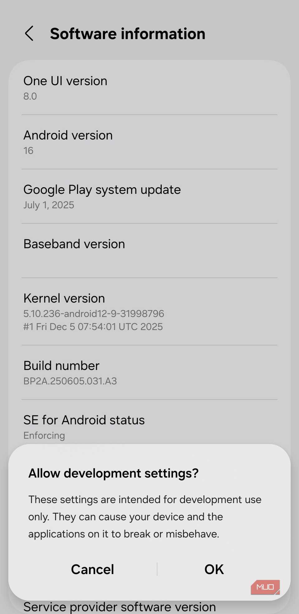 Developer options on Android phone