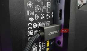 Display Port Plug