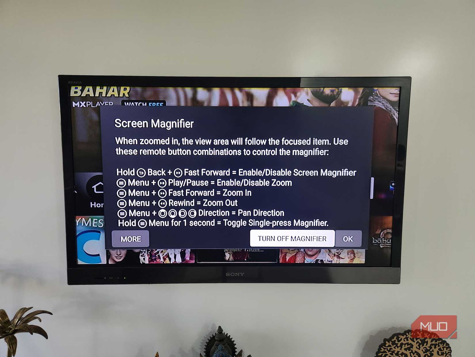 Fire TV screen magnifier menu