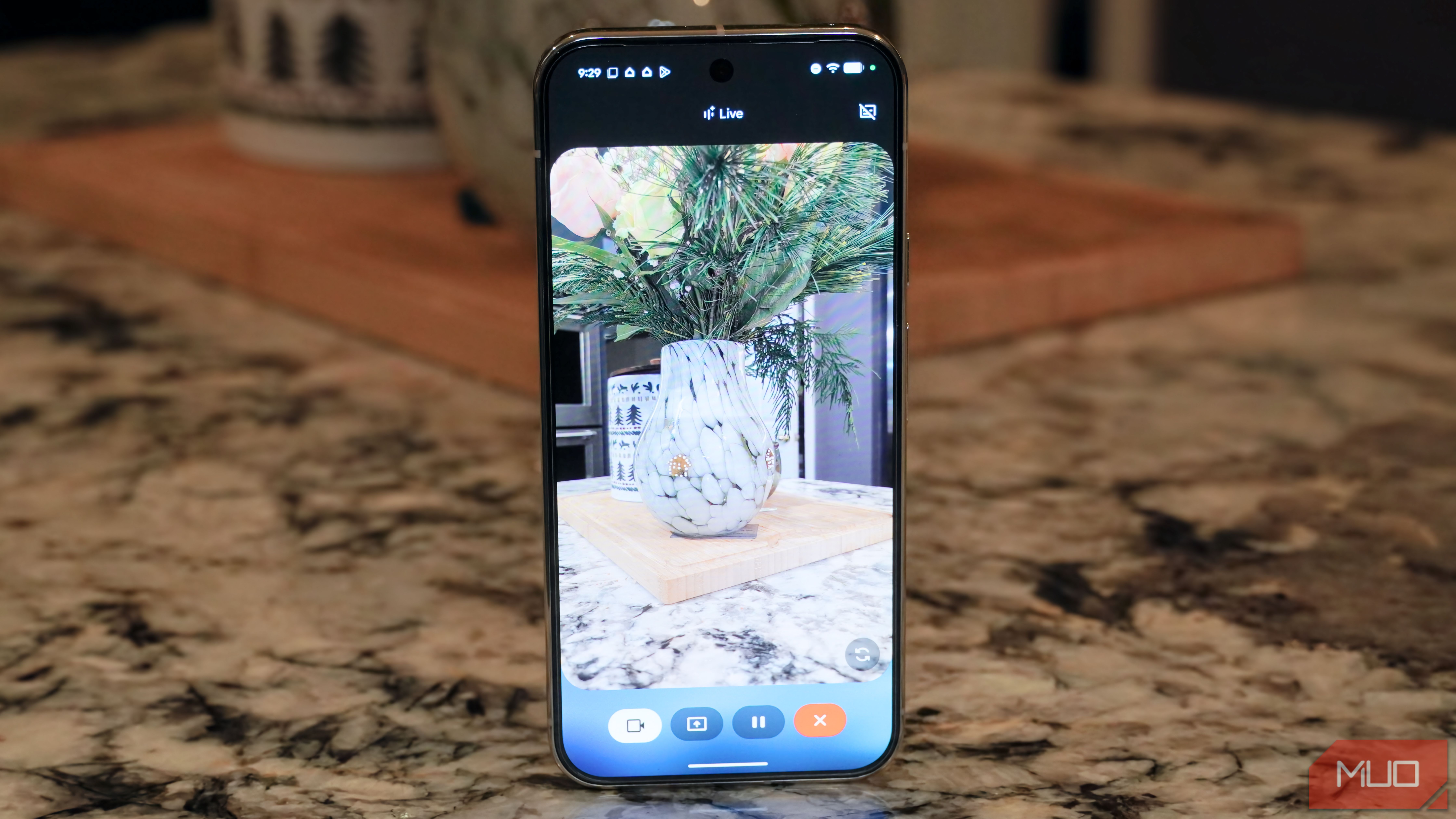 Gemini Live with video streaming on a Google Pixel 9 Pro XL.