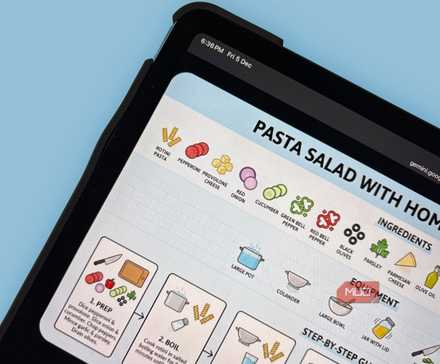 اینفوگرافیک دستور غذایی Gemini.