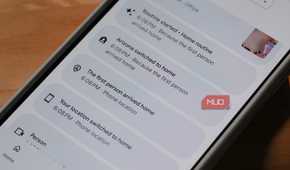 Activity summaries in the Google Home app.