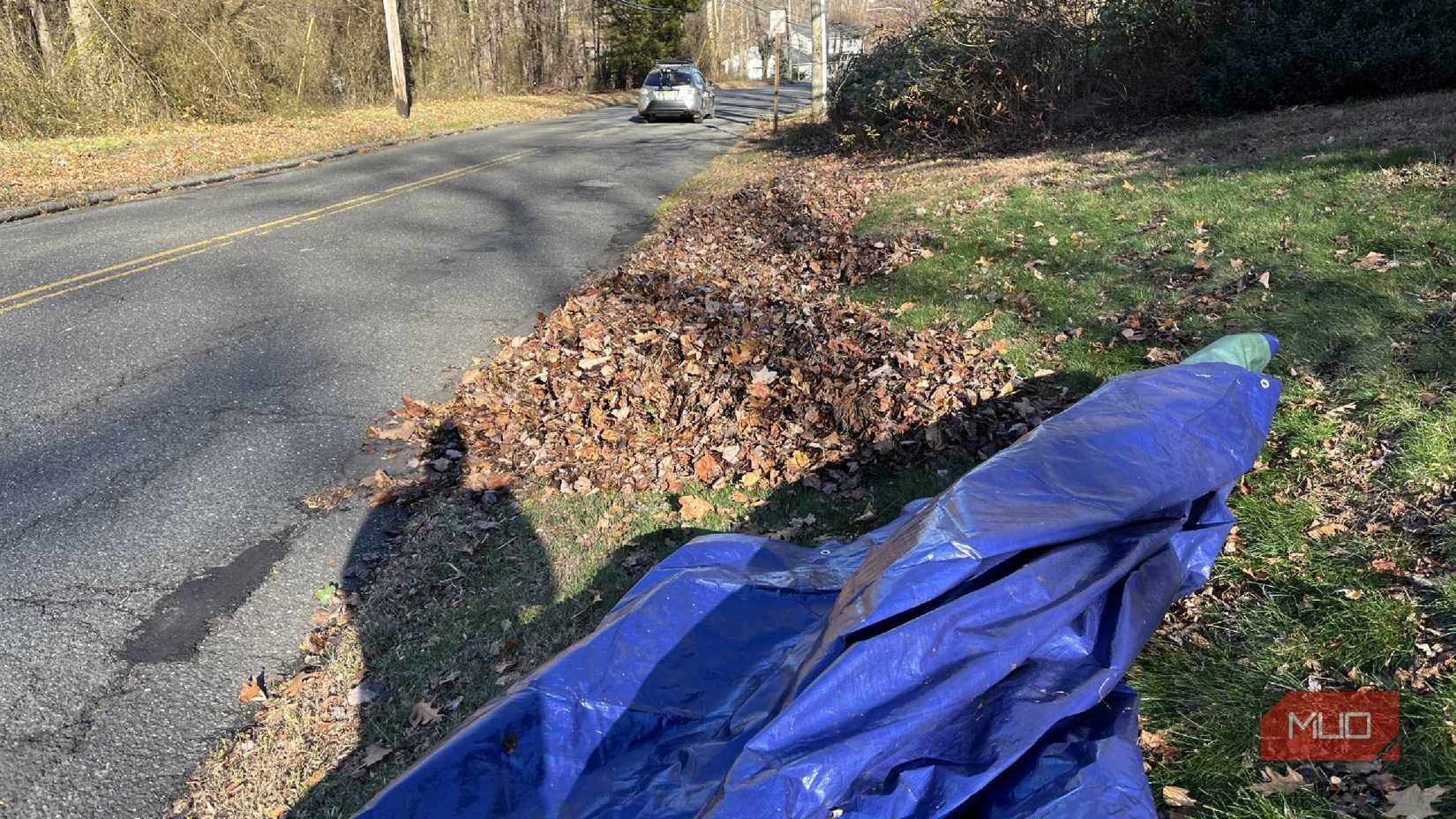 Hojas y una lona al lado de una carretera.