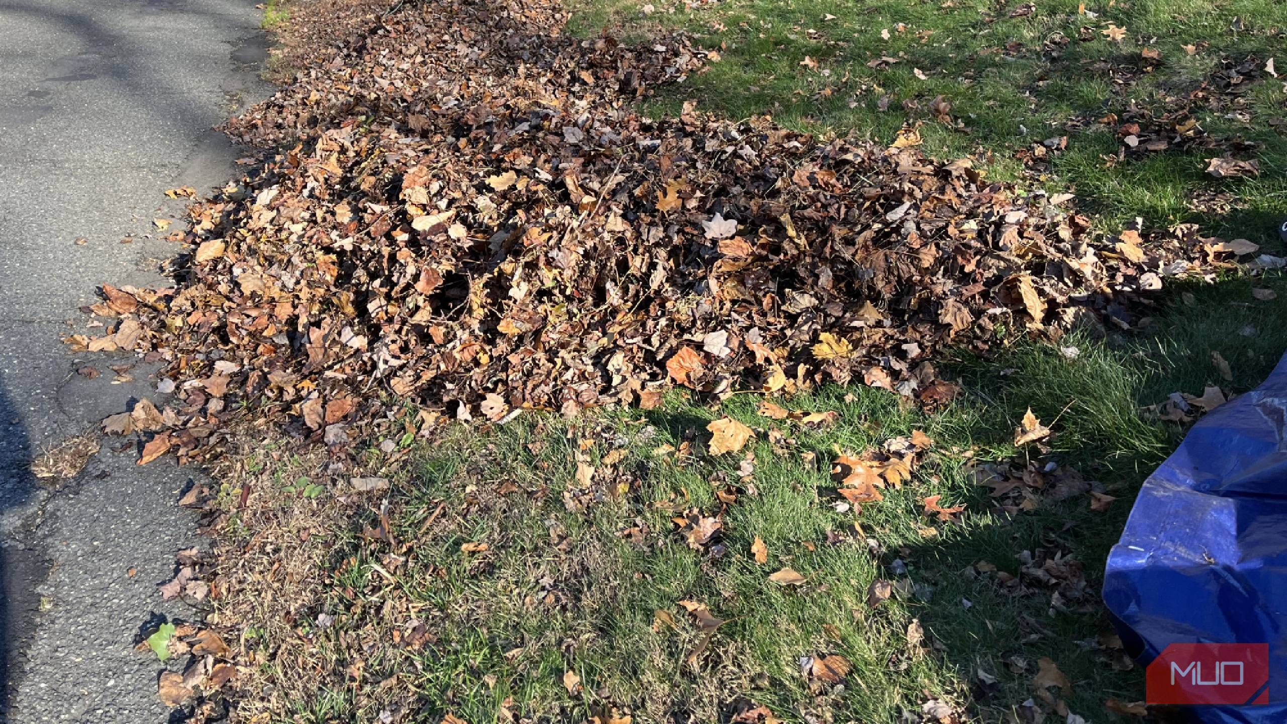 Leaves in a pile curbside on a street