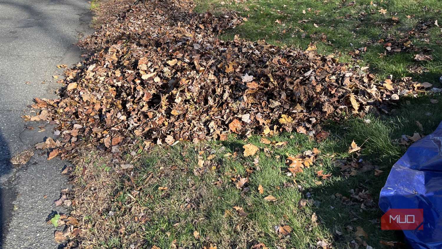 Leaves in a pile curbside on a street