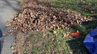 Leaves in a pile curbside on a street