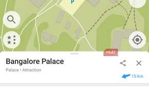 Location search in Organic Maps.