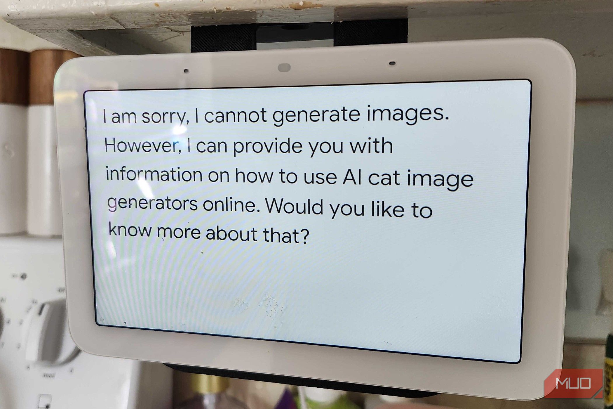 Nest Hub Generative AI warning, stating that it cannot generate a picture
