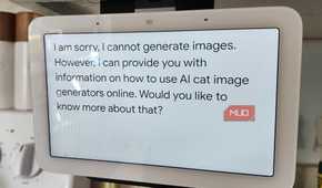 Nest Hub Generative AI warning, stating that it cannot generate a picture