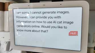 Nest Hub Generative AI warning, stating that it cannot generate a picture