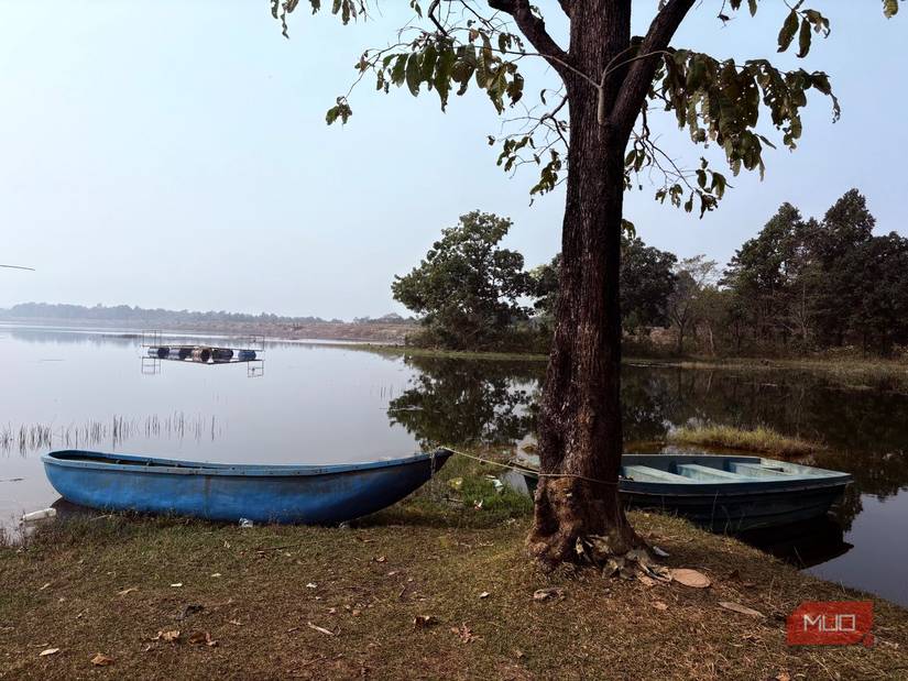 Photo at a riverside.