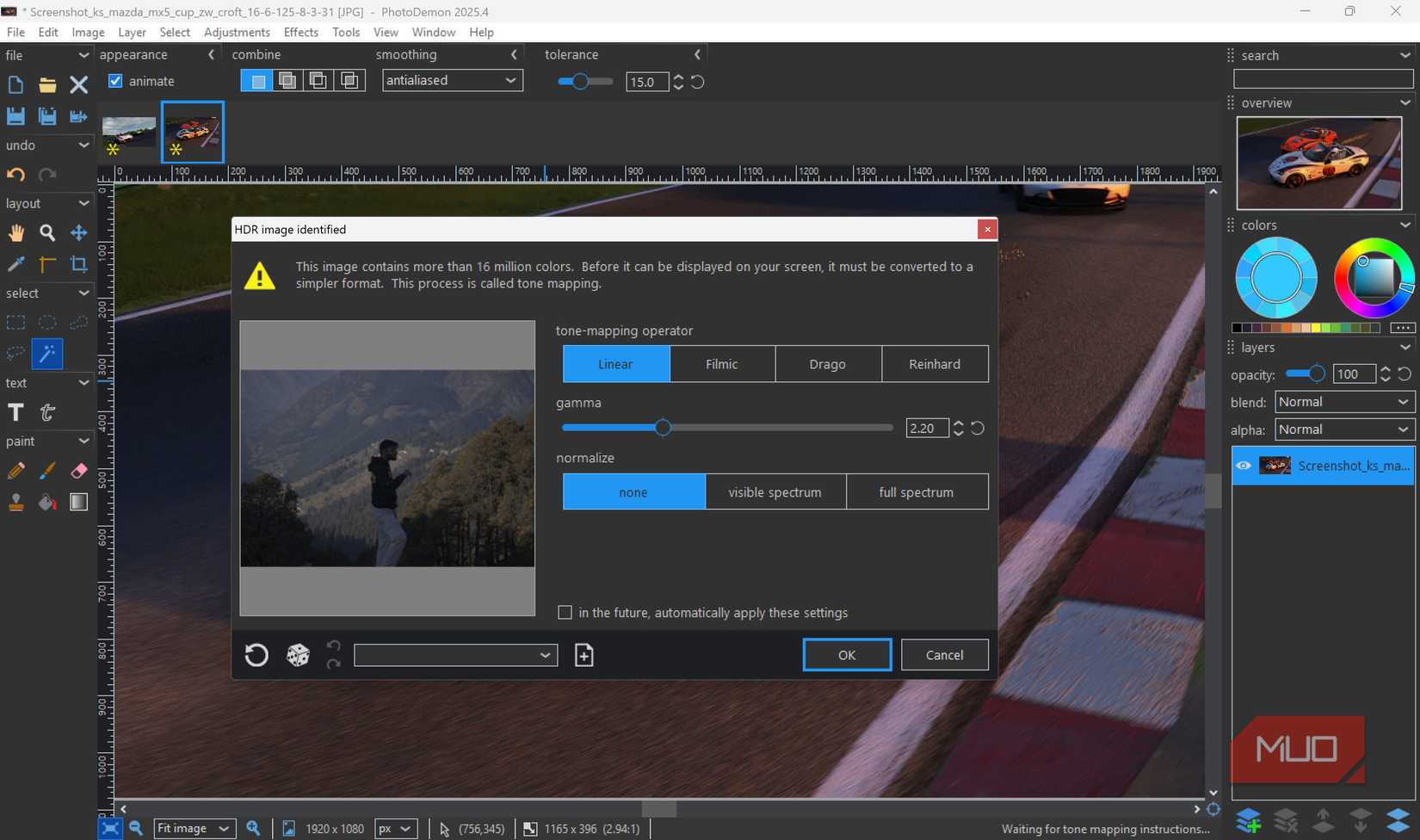 PhotoDemon RAW import options.