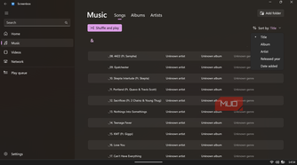 Screenbox music library view.