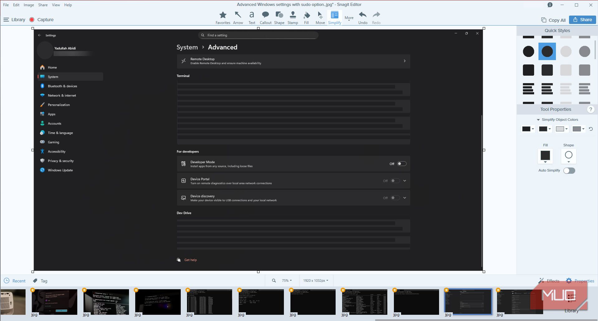 I paid for a screenshot tool and it's worth every penny