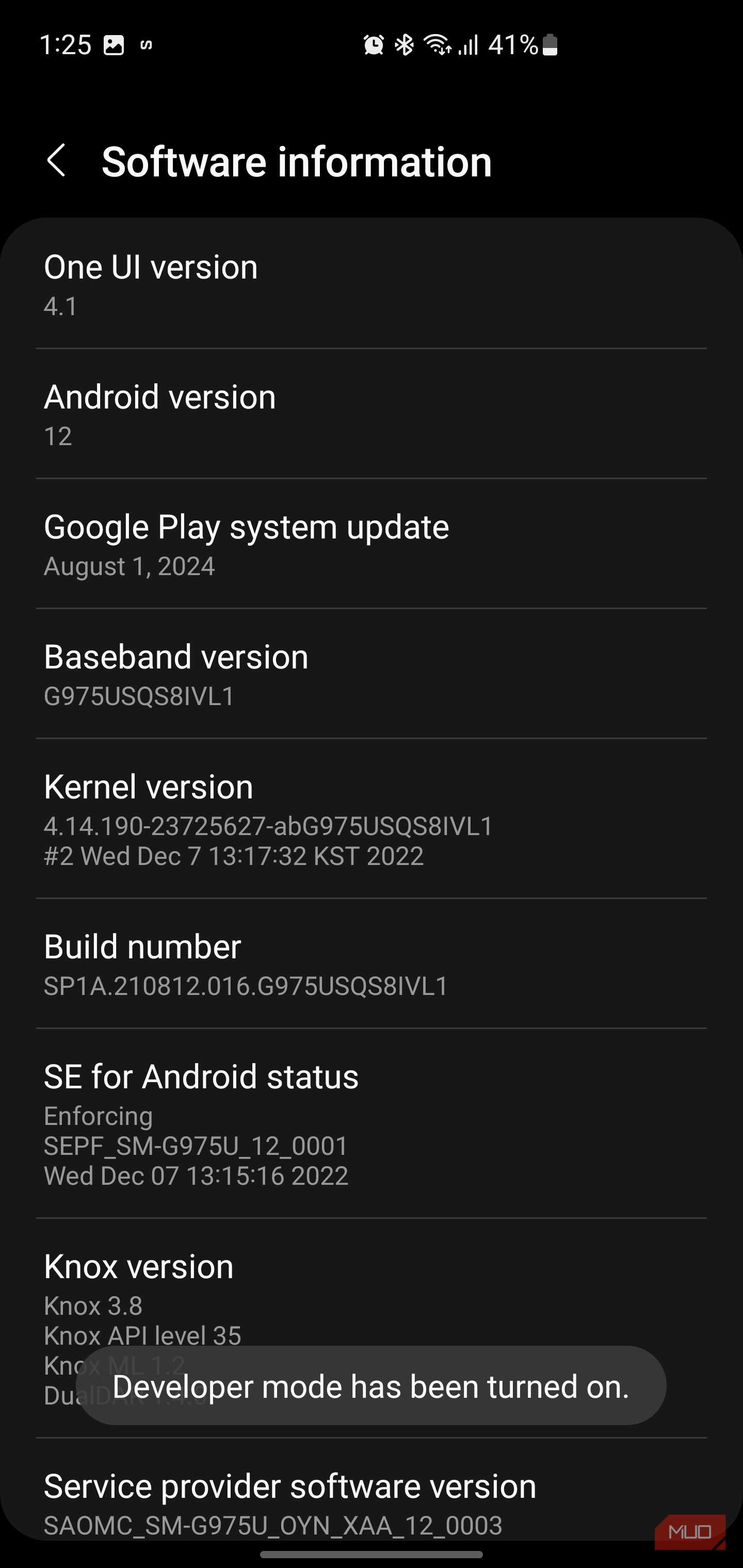 Software information screen displaying a popup confirmation that developer mode has been turned on.