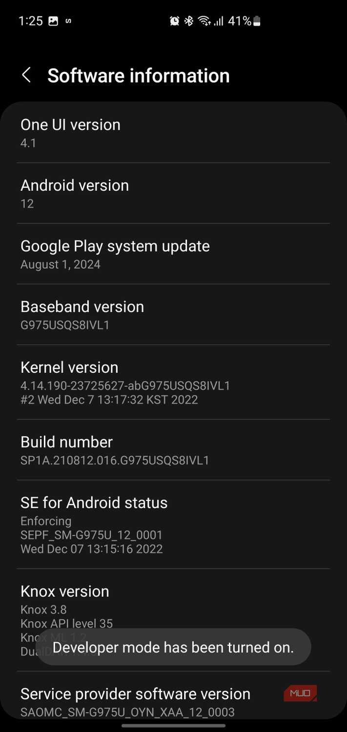 Software information screen displaying a popup confirmation that developer mode has been turned on.
