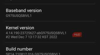 Software information screen displaying a popup confirmation that developer mode has been turned on.