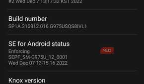 Software information screen showing a toast notification that the user is one step away from developer mode.