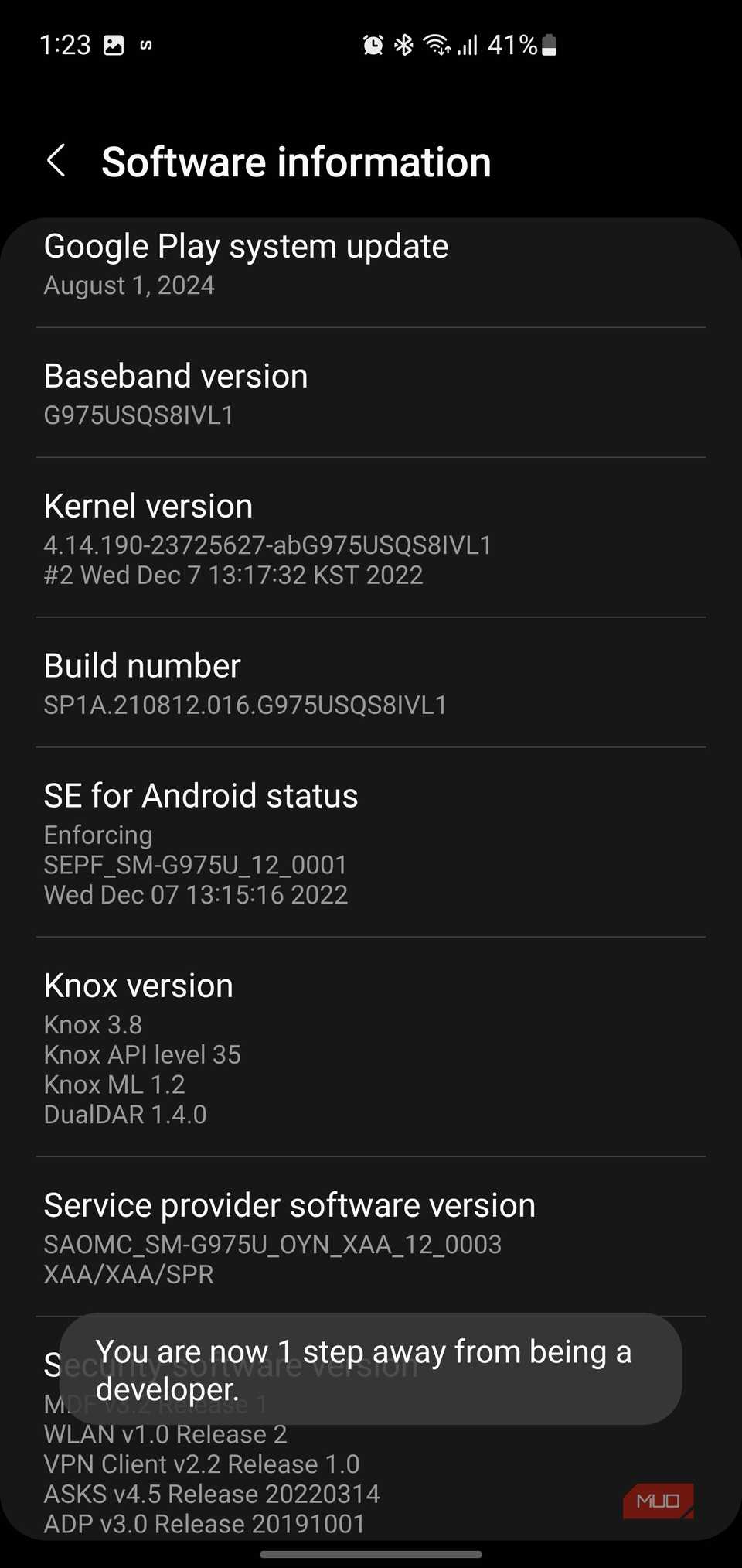 صفحهٔ اطلاعات نرمافزاری که یک اعلان توست نشان میدهد کاربر یک قدم از حالت توسعهدهنده دور است