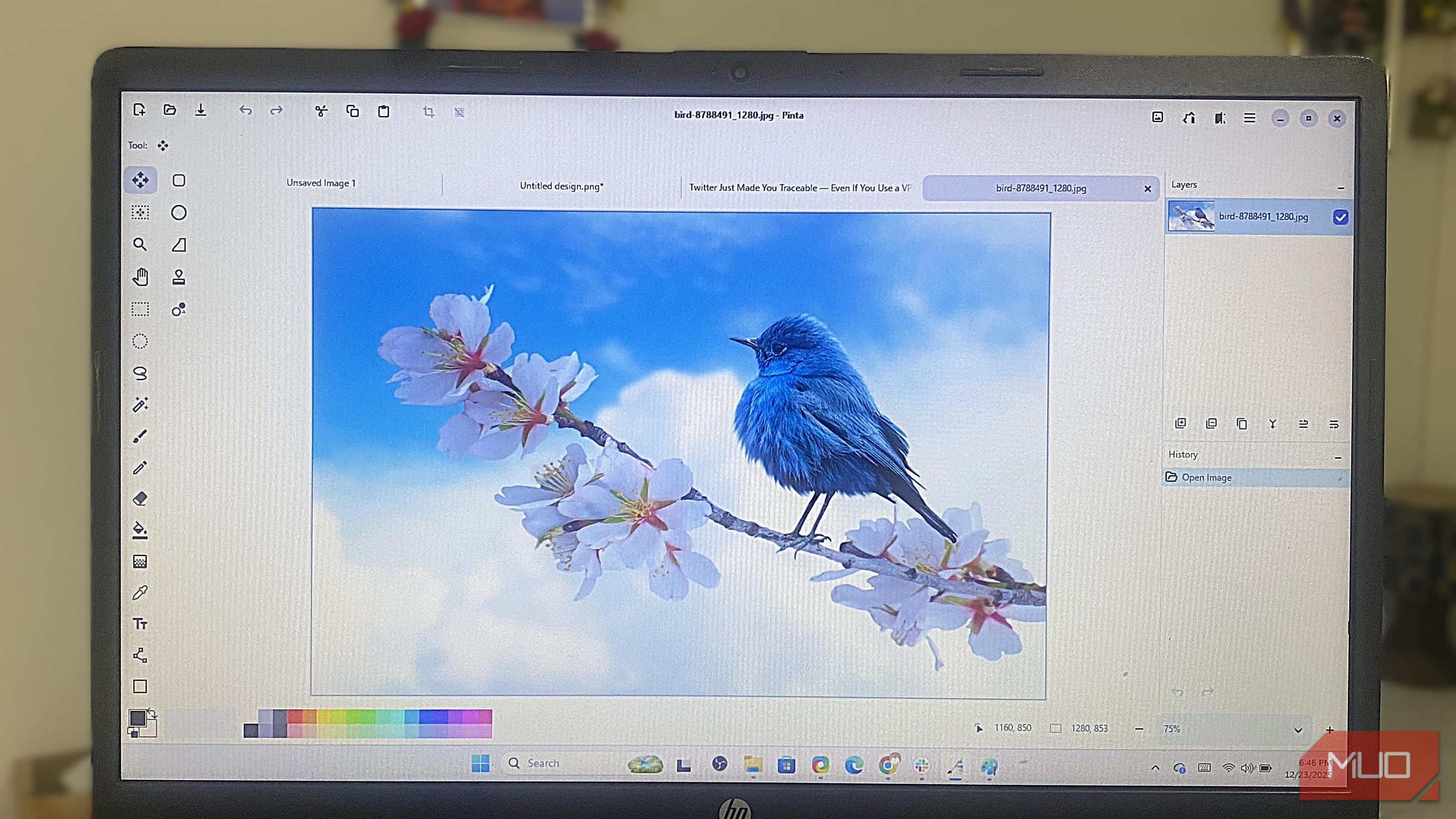 Using Pinta for image editing