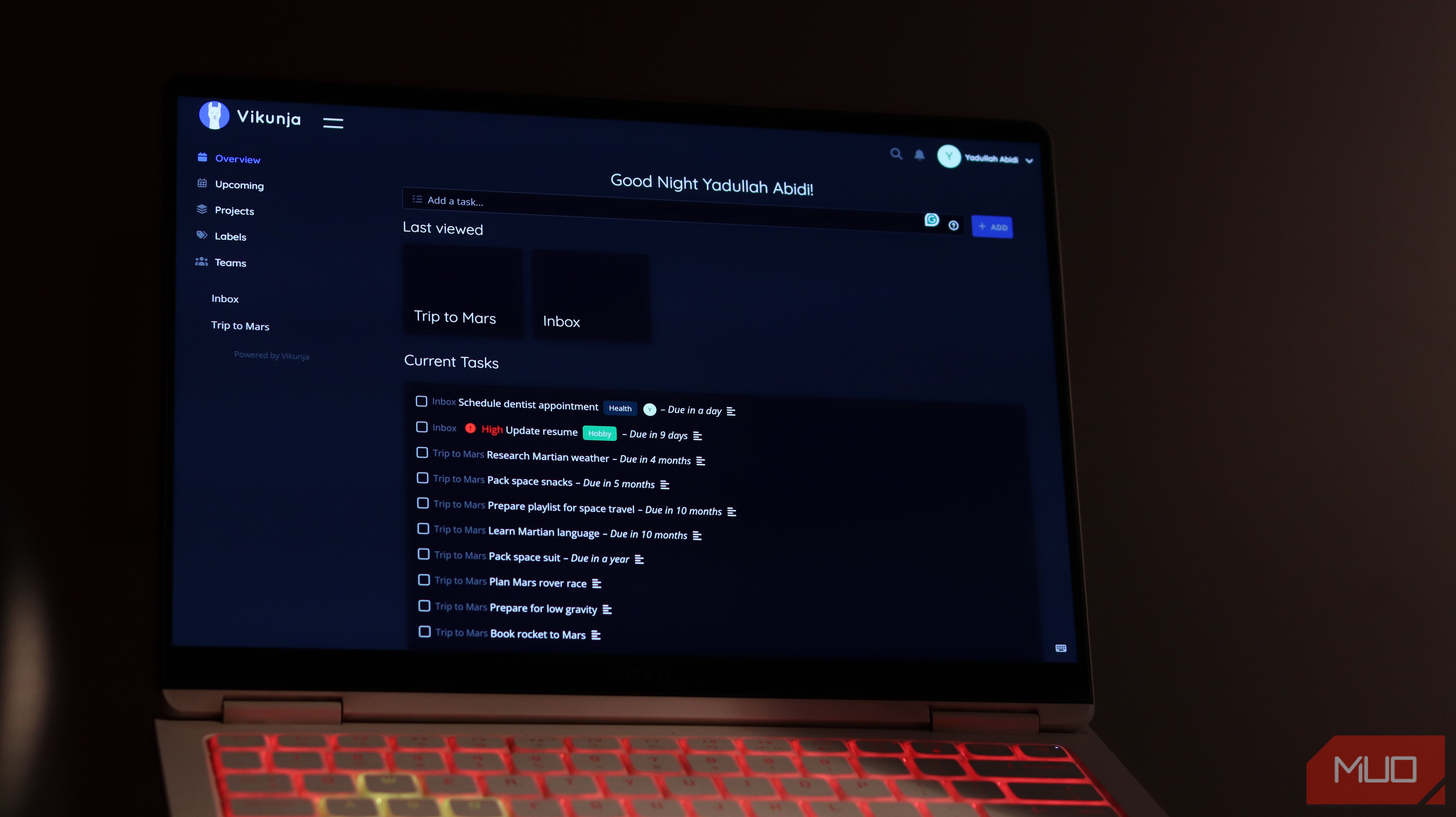 Vikunja running on Windows 11.