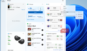 Windows 11 Widgets panel editing options